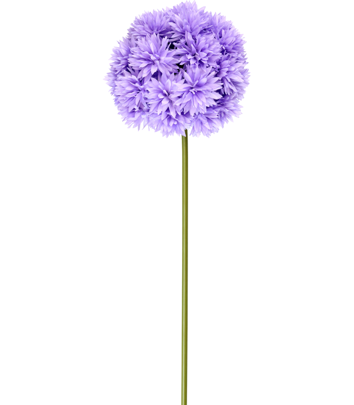 52121.png