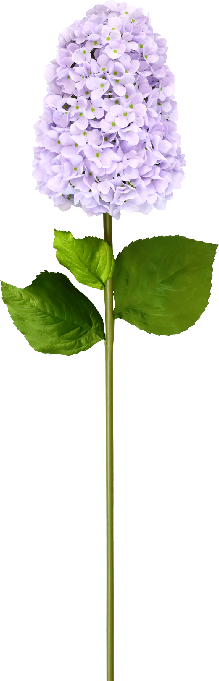 XL-BLUME HORTENSIE