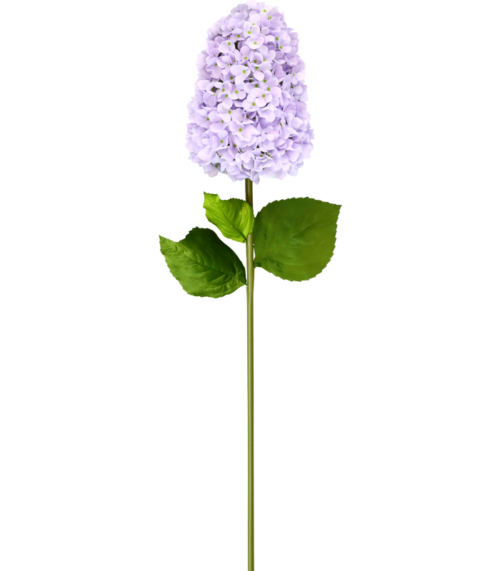 52441.png