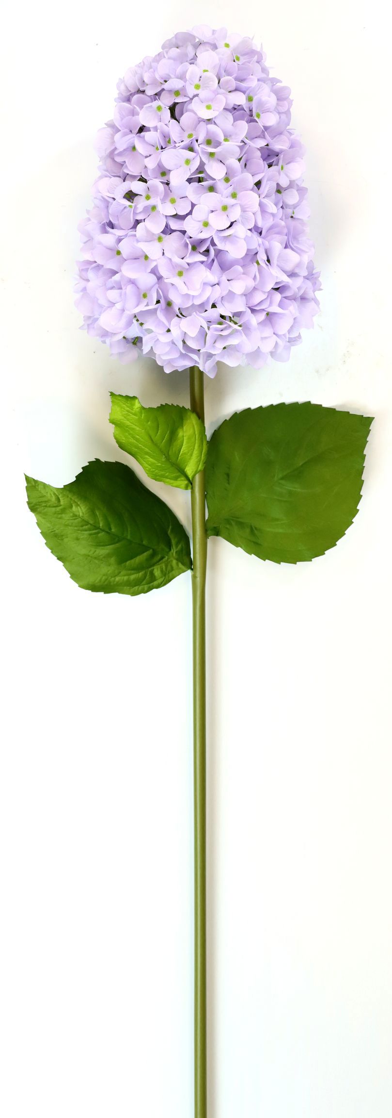 52442.jpg
