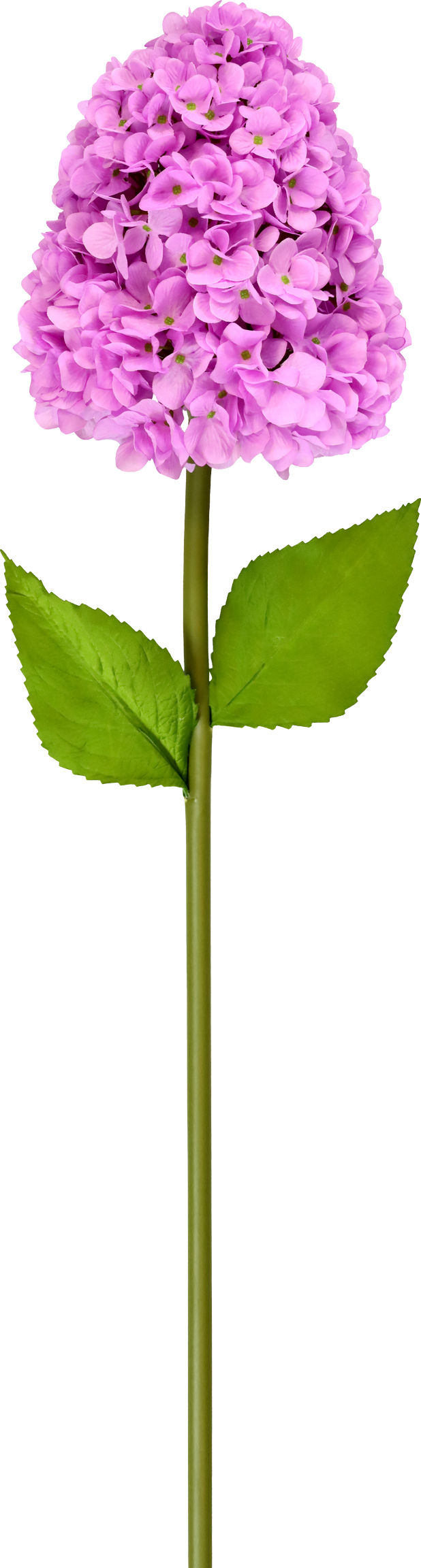 XL-BLUME HORTENSIE