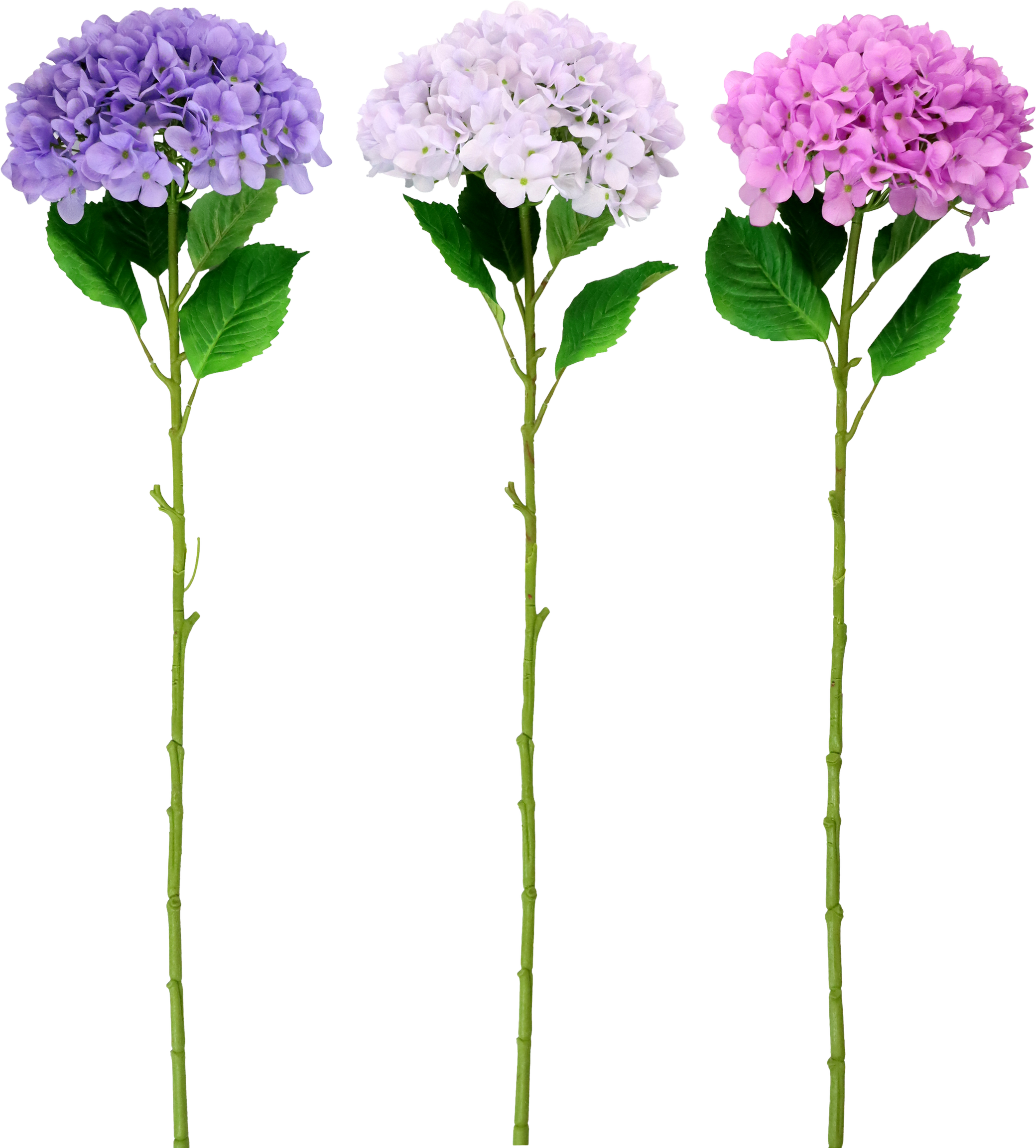 BLUMENTRIO HORTENSIE  S/3