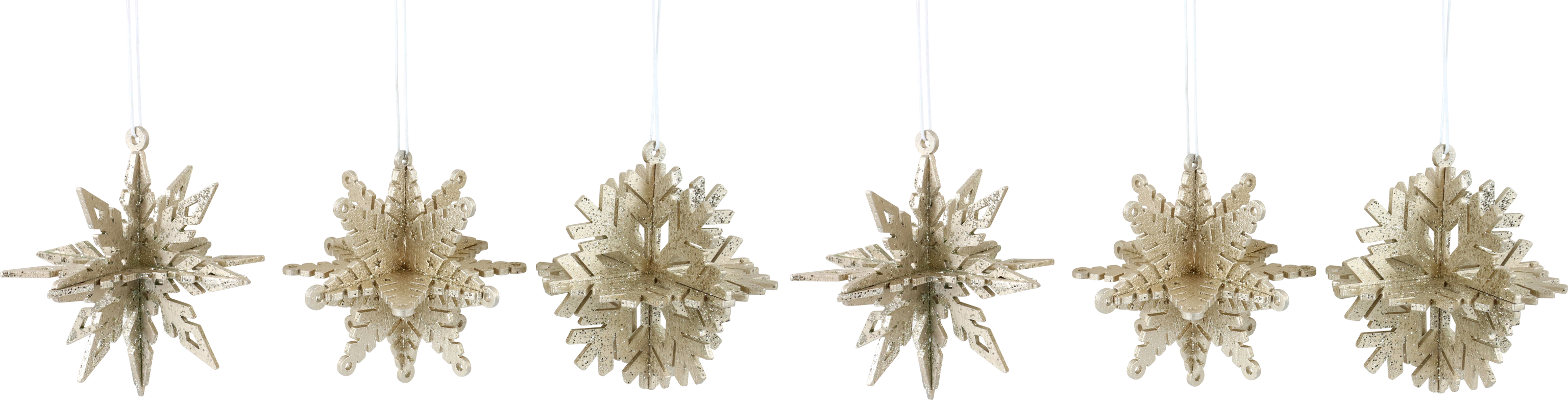 3D-STERNE STARDUST  S/6