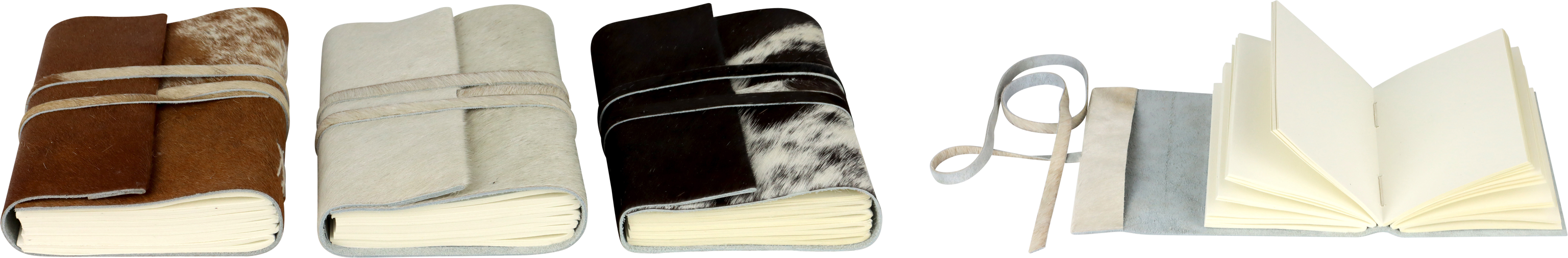 NOTIZBÜCHER DAVOS  S/3