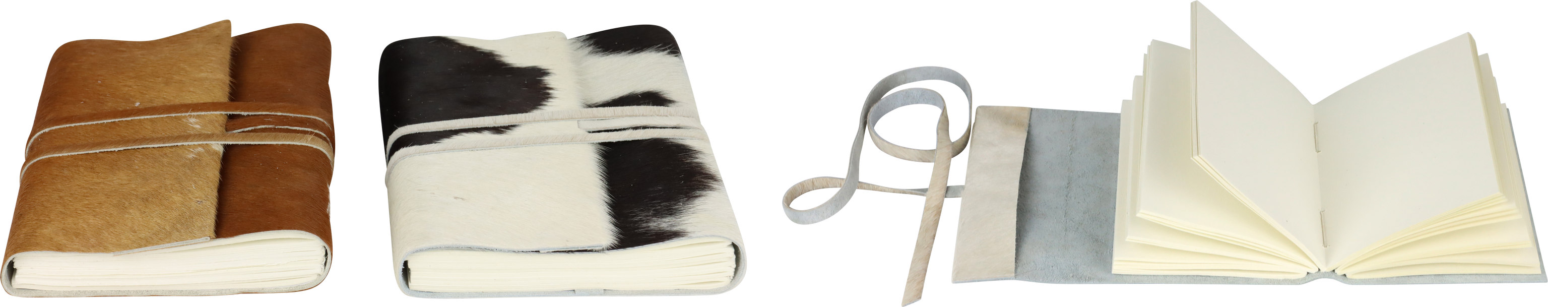 NOTIZBÜCHER DAVOS  S/2