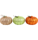ZIERKÜRBISSE HARVEST  S/3