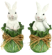 HASEN IM KOHL CABBUNNY  S/2