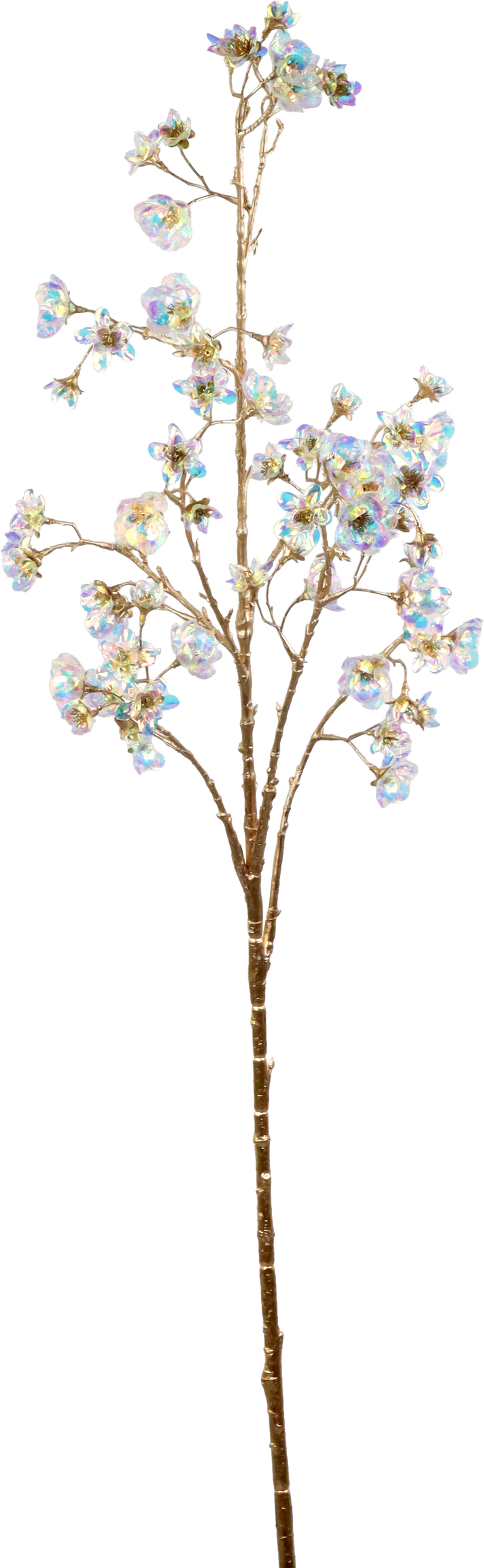 BLUMENZWEIG FLORA LUXE TRANSP.