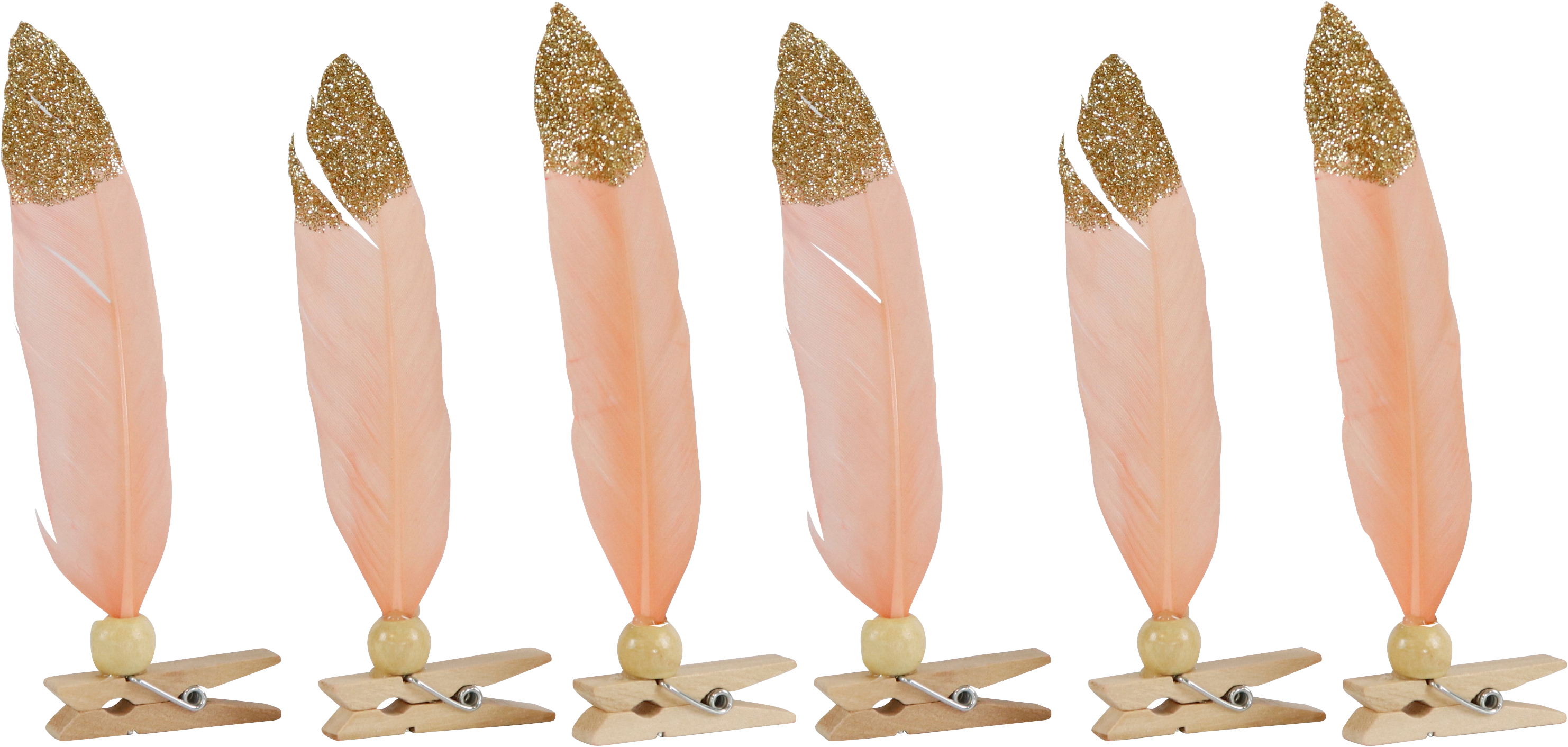 FEDERKLAMMERN BLUSH  S/6