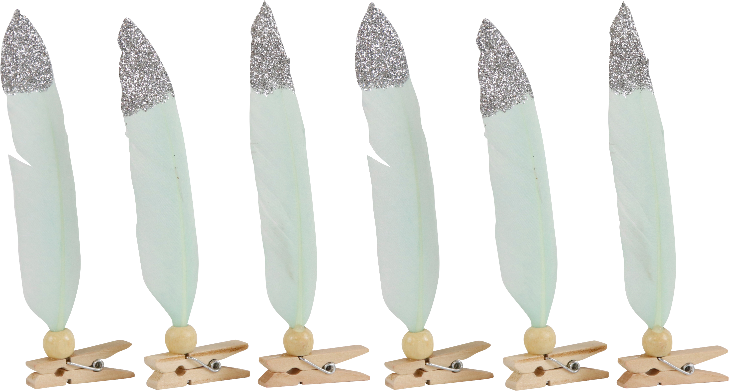 FEDERKLAMMERN MINT  S/6