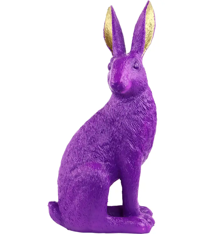 62141.jpg