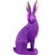 HASE BUNNYPOP
