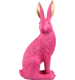 HASE BUNNYPOP