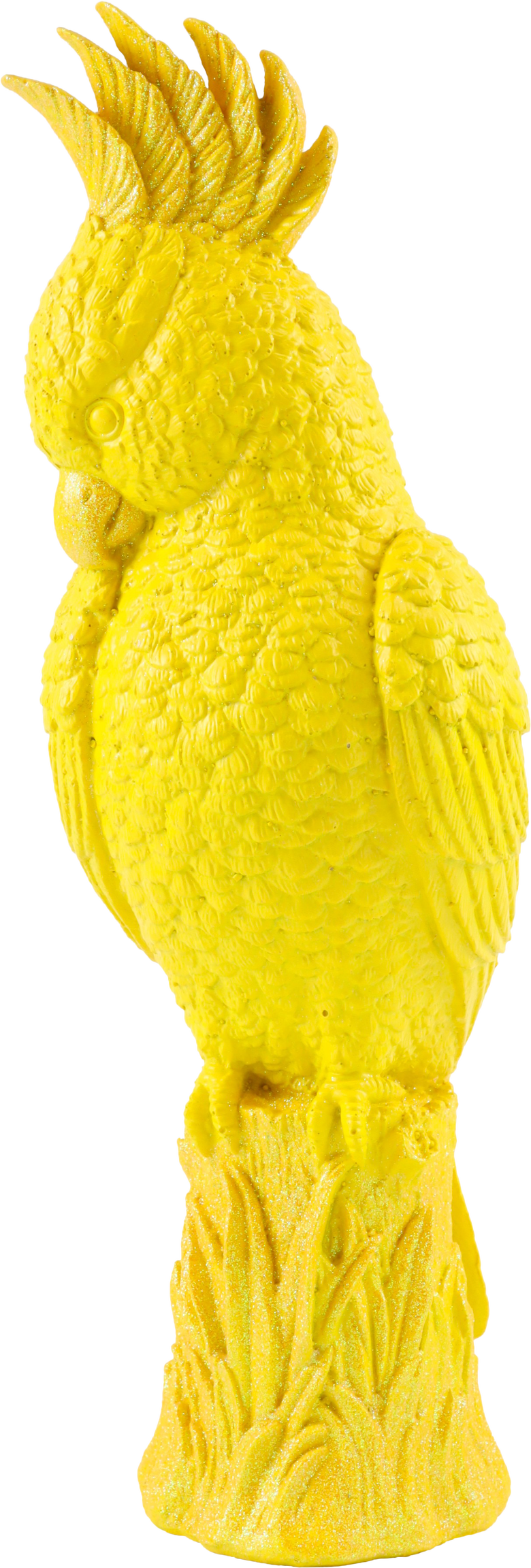 KAKADU TROPICAL ICON