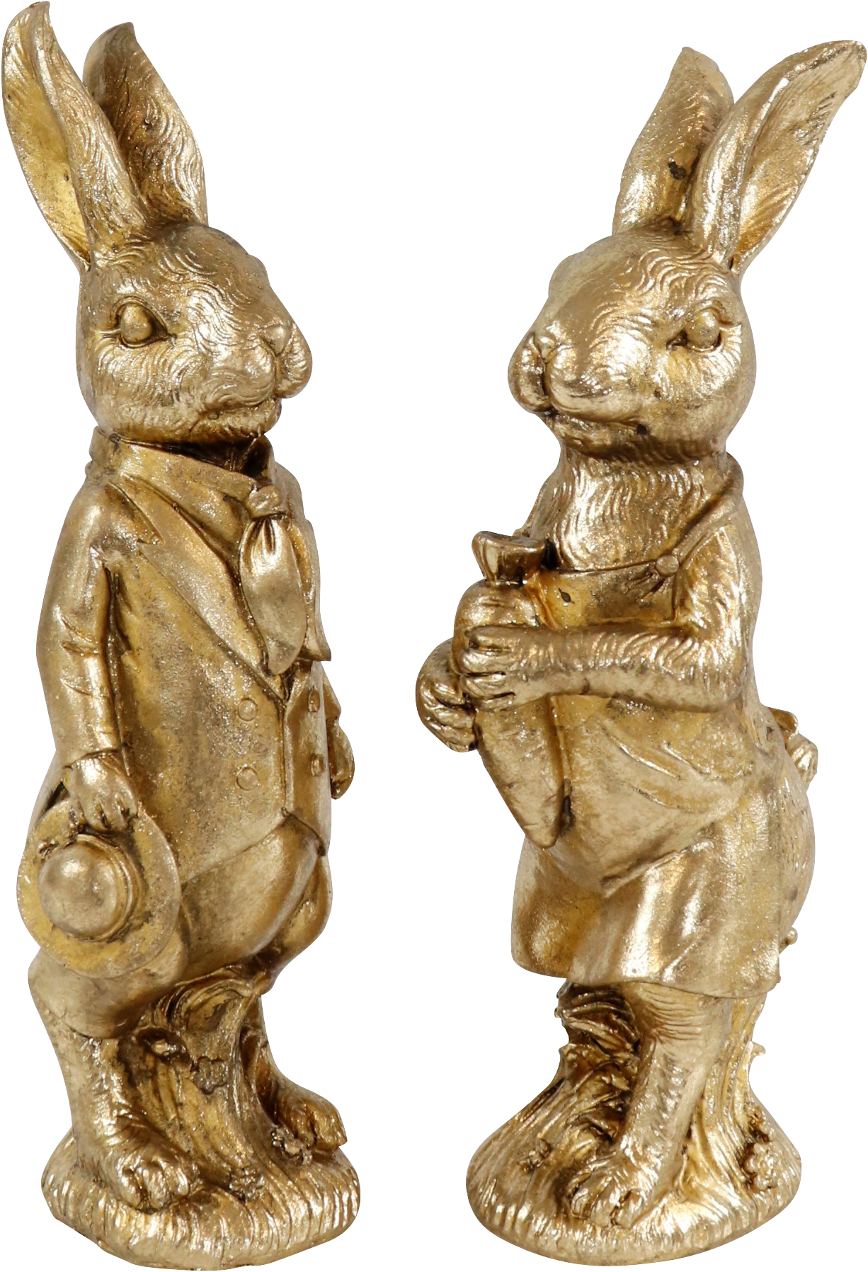 GOLDHASEN NOSTALGIA S/2