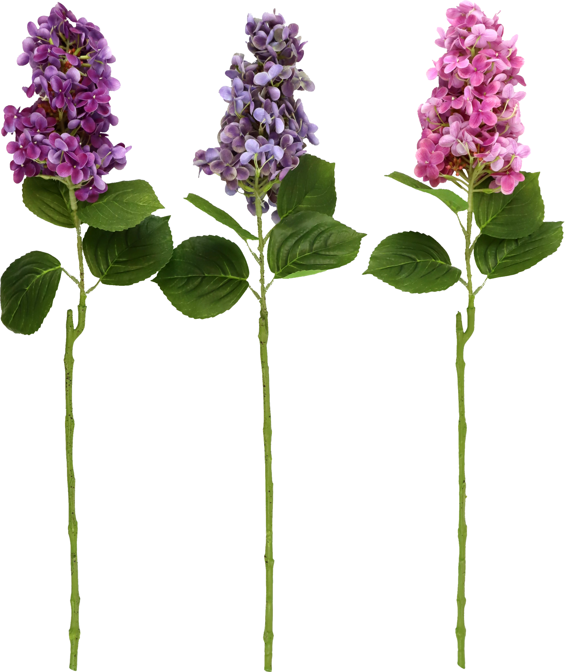 ZIERBLUMEN HORTENSIE  S/3