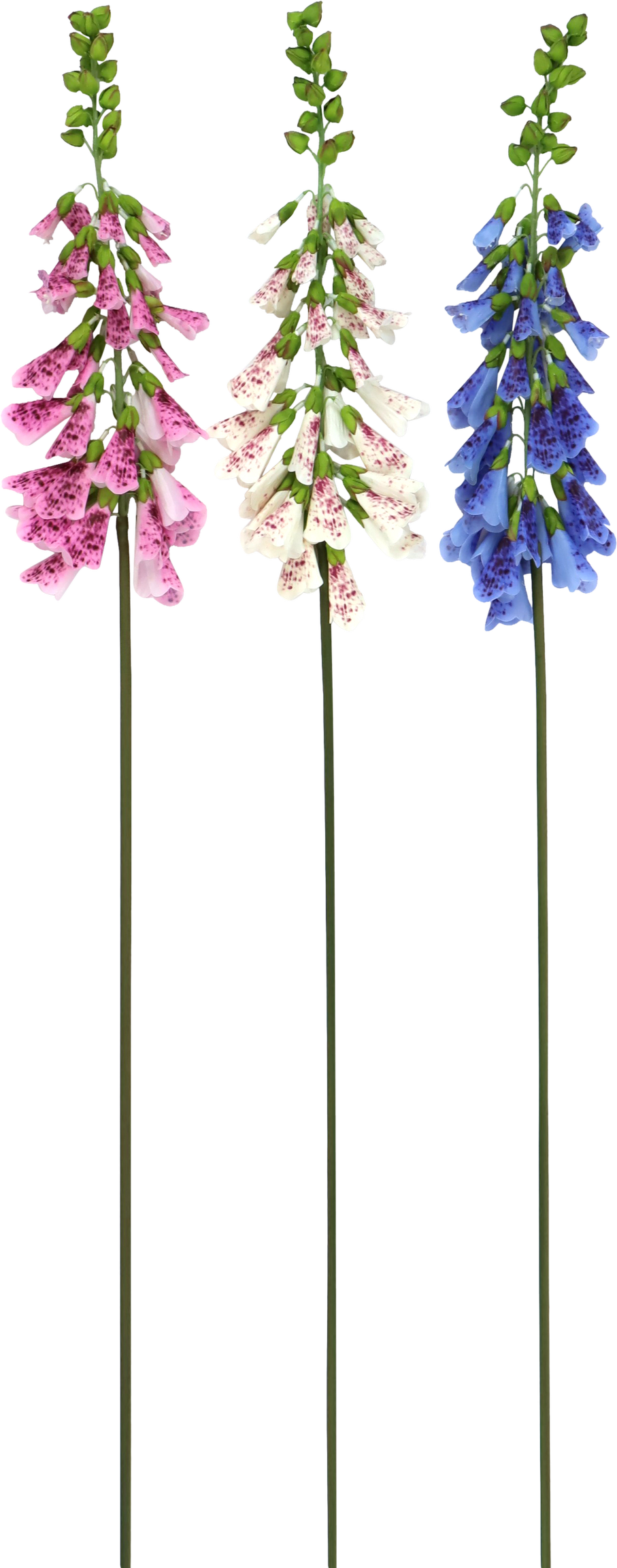 ZIERBLUMEN FINGERHUT  S/3