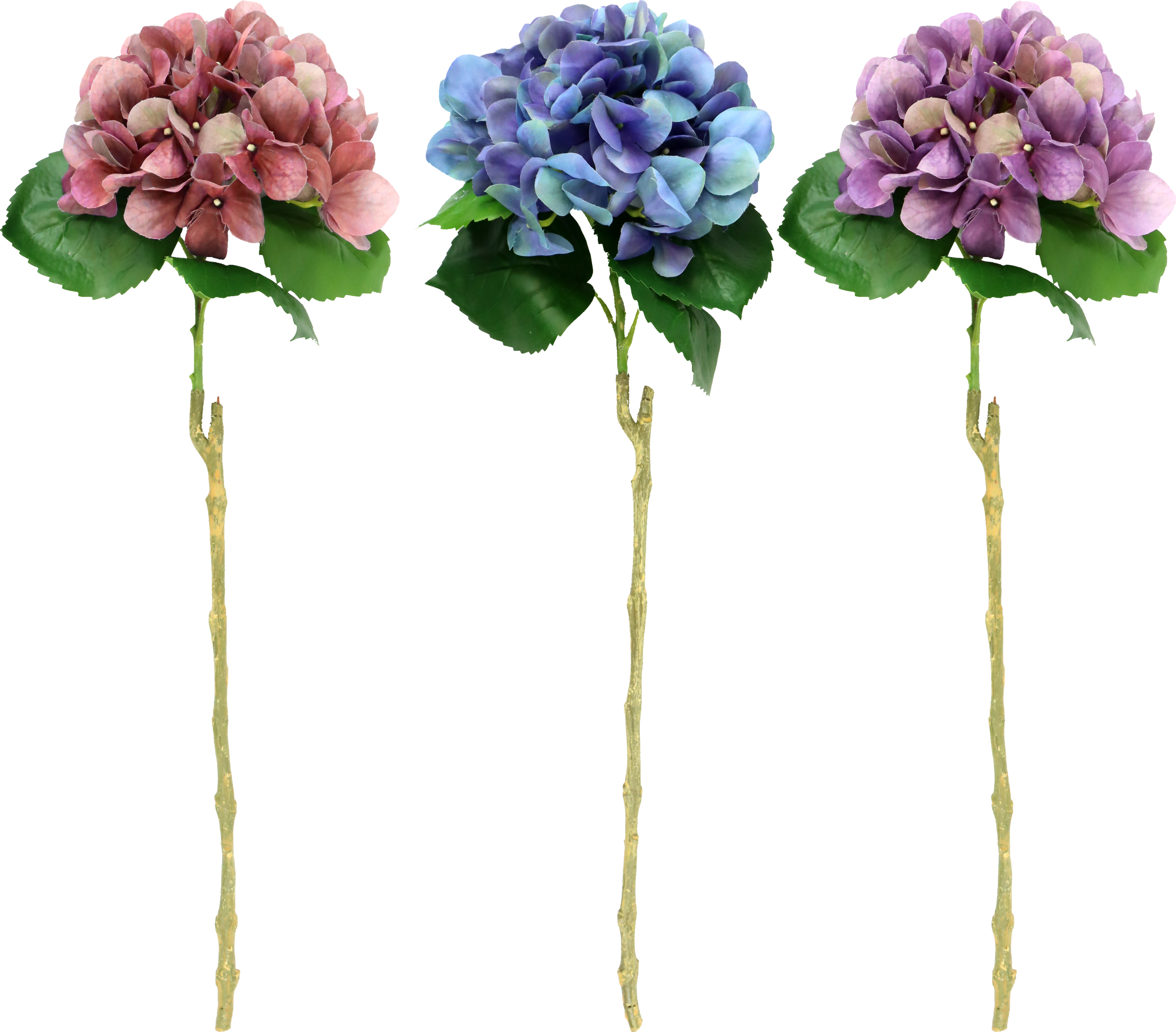 ZIERBLUMEN HORTENSIE  S/3
