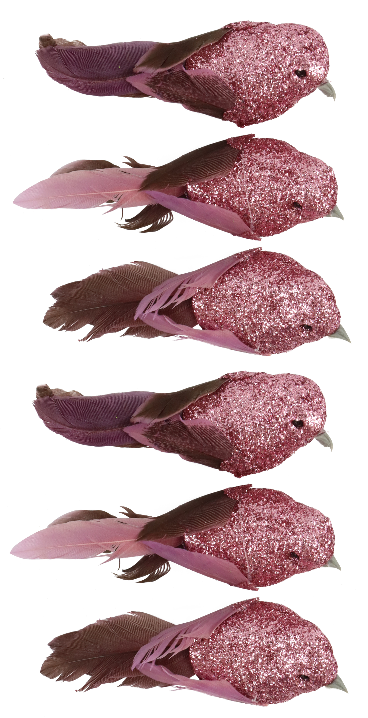 VOGELKLAMMERN FEDERSTOLZ  S/6