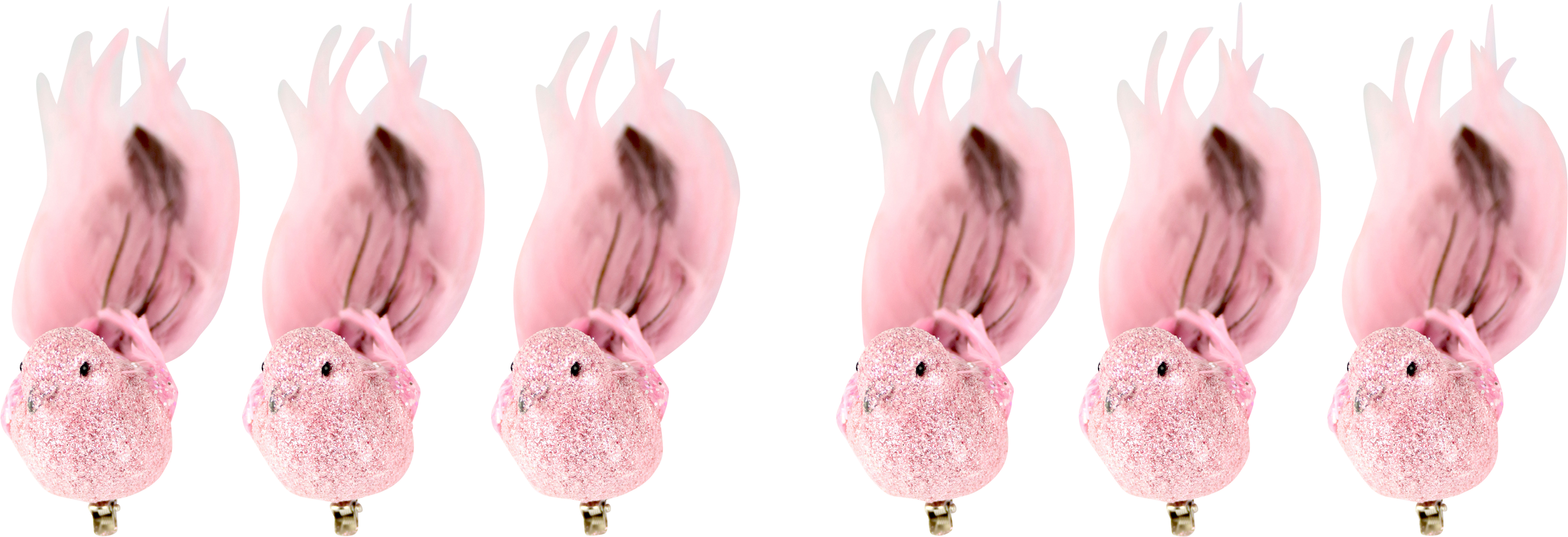 VOGELKLAMMERN FEDERSTOLZ  S/6