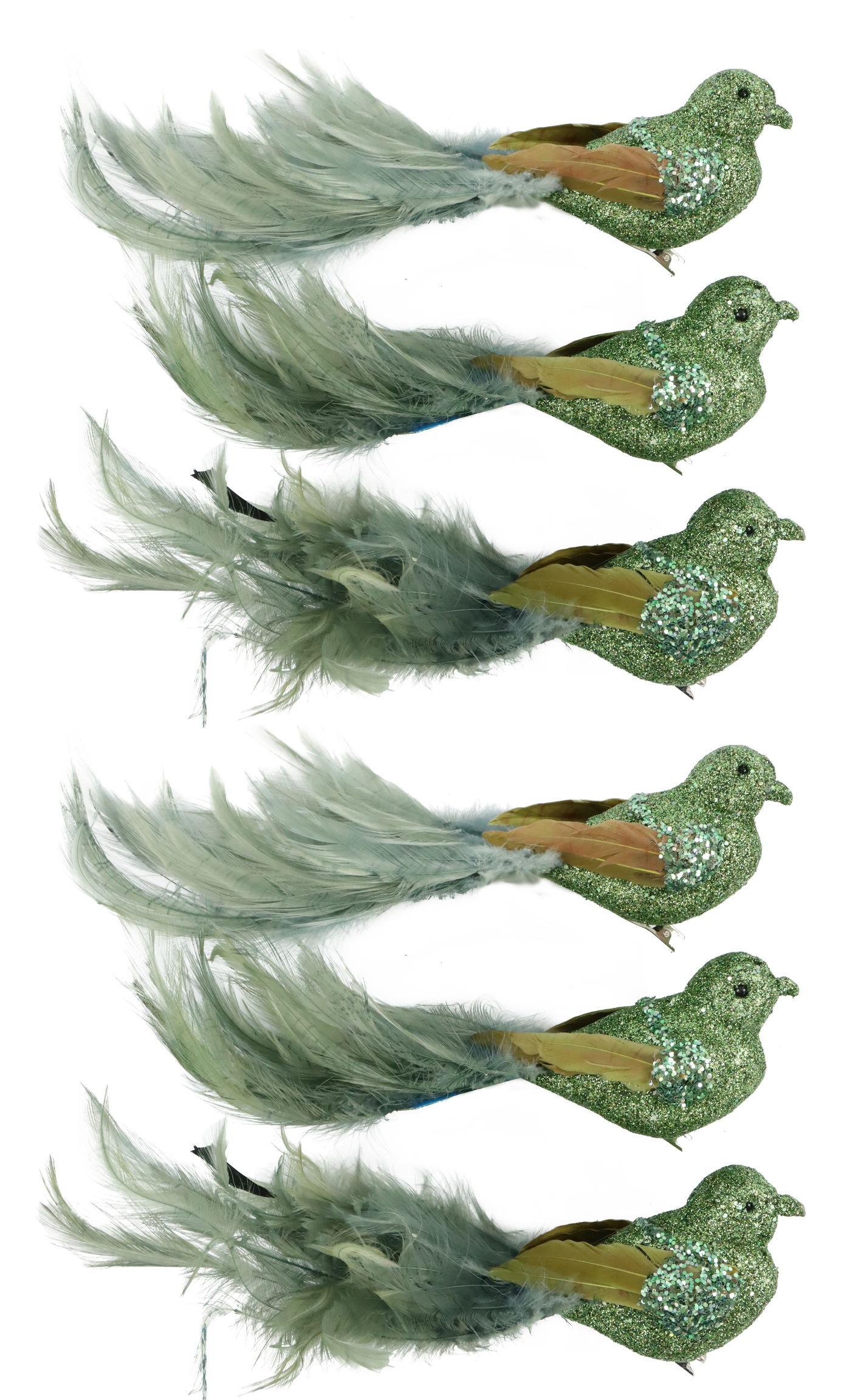 VOGELKLAMMERN FEDERSTOLZ   S/6