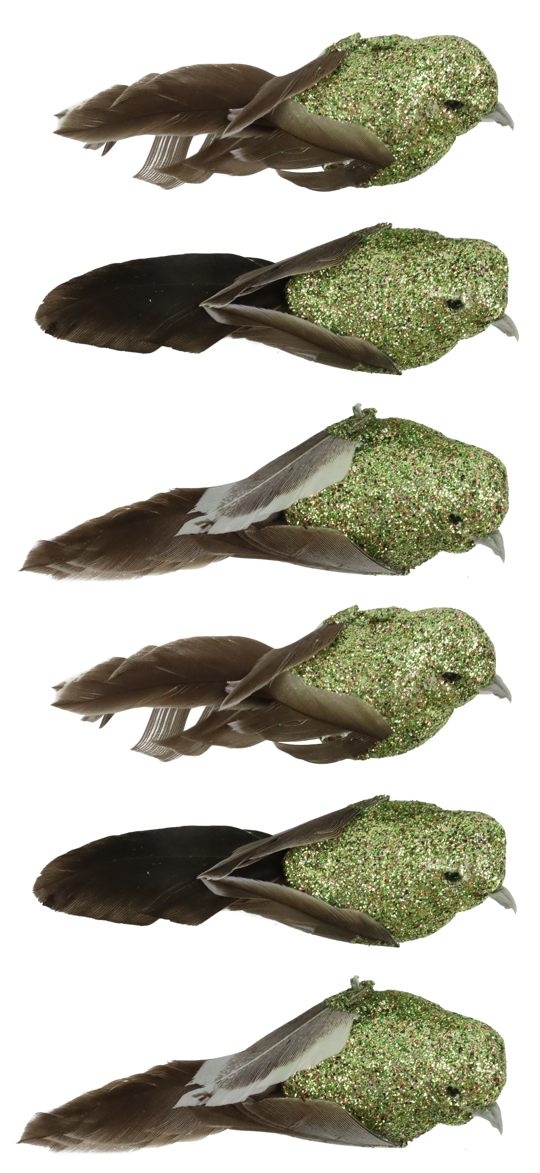 VOGELKLAMMERN FEDERSTOLZ   S/6