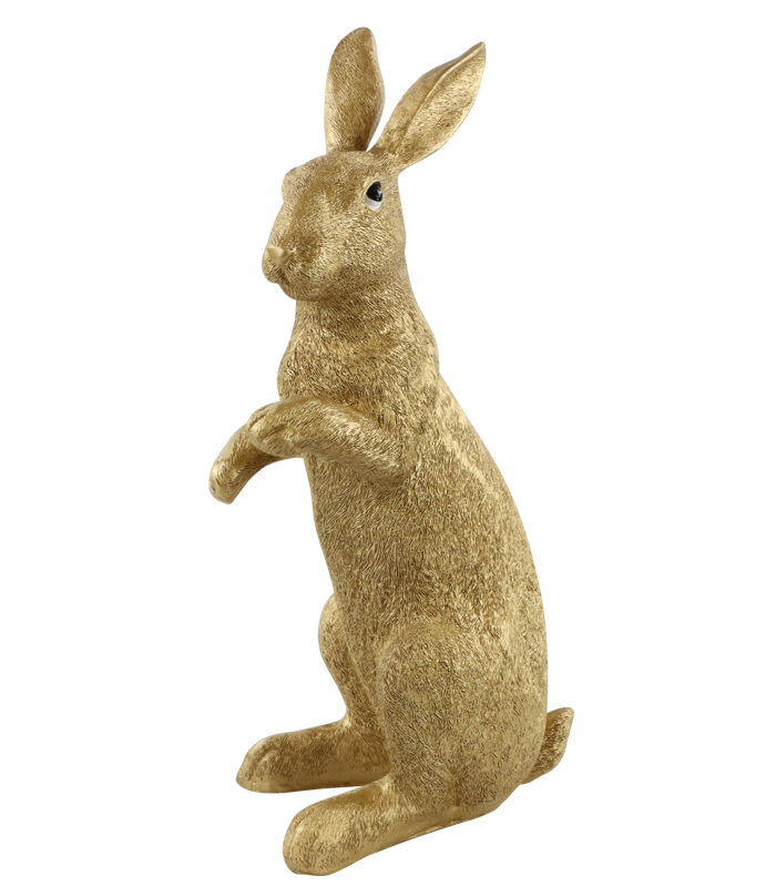 HASE  BUNNY
