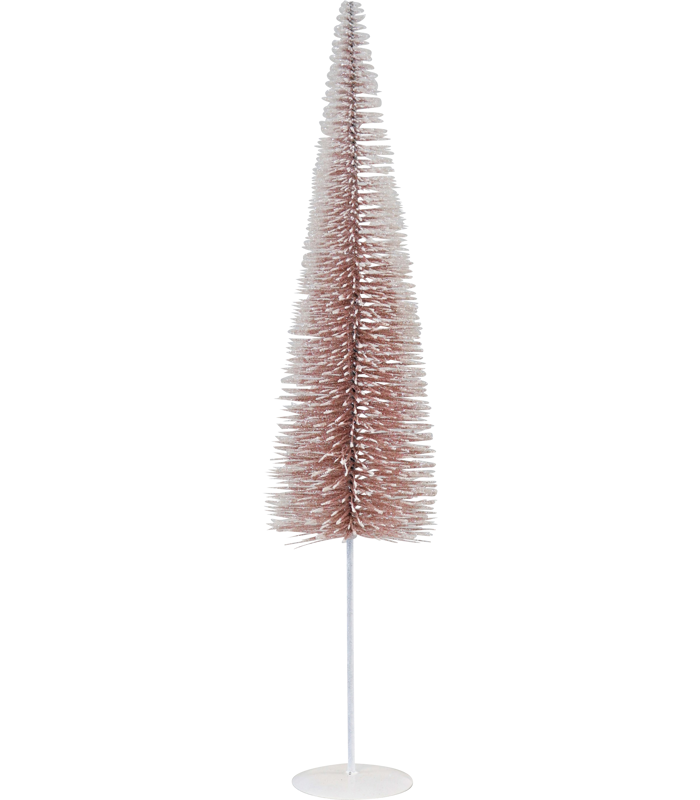 ZIERBAUM GRACE