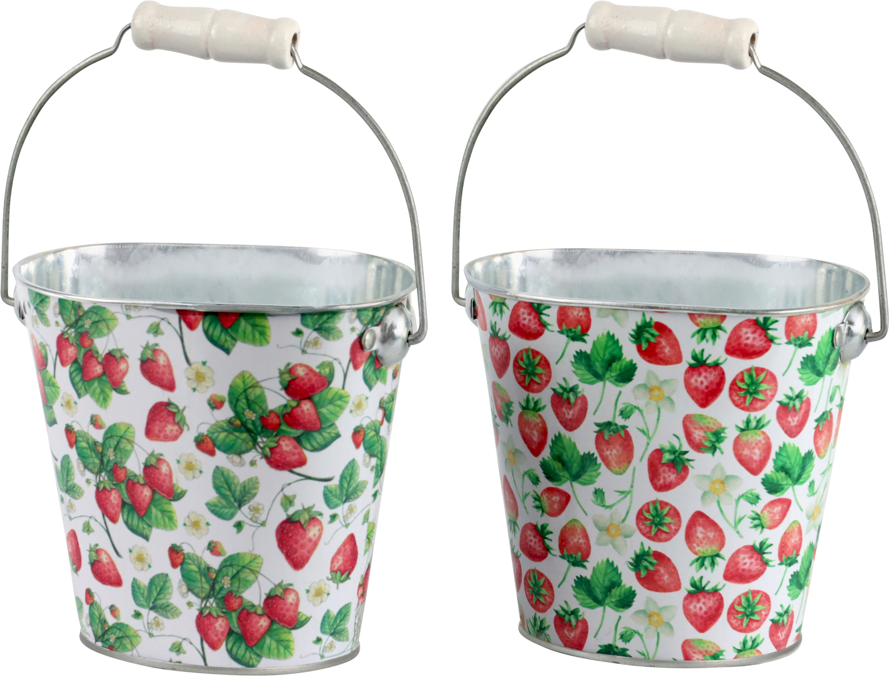 HENKELEIMER STRAWBERRY  S/2