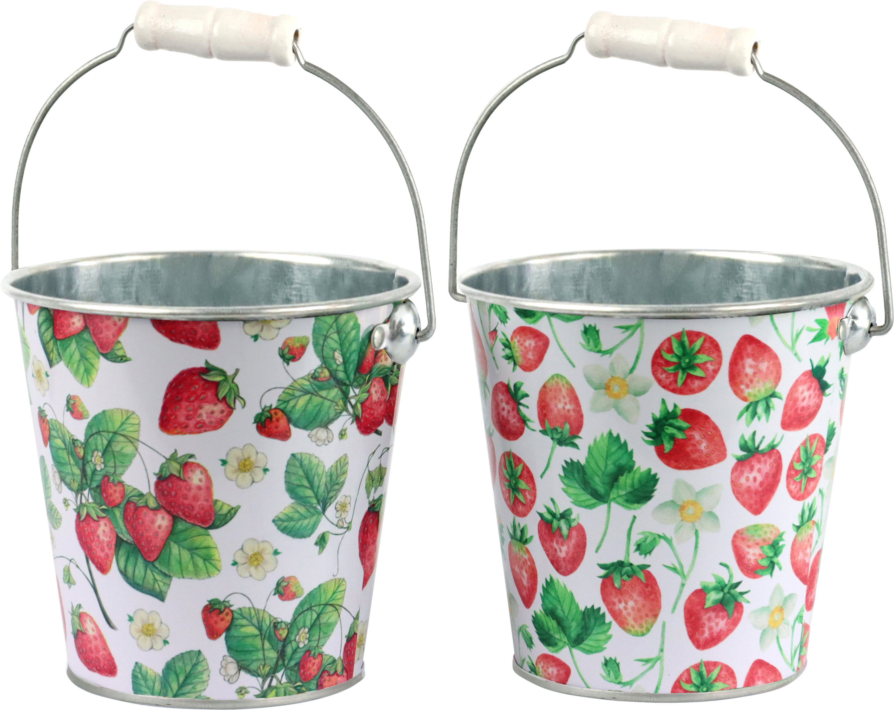 HENKELEIMER STRAWBERRY  S/2