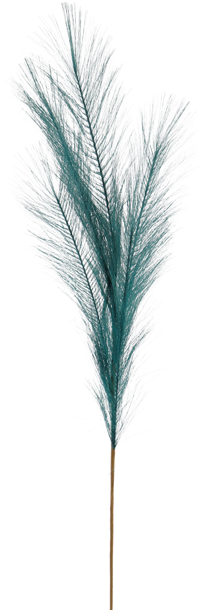 ZIERFEDER PETROL  80CM