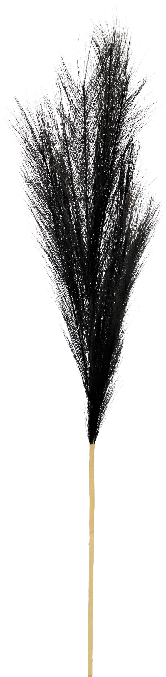 ZIERFEDER SCHWARZ 80CM