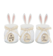 GLASDOSEN BUNNY  S/3