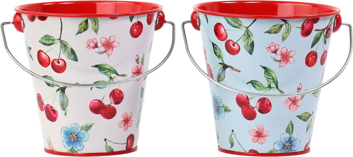 HENKELEIMER CHERRY BLOOM  S/2