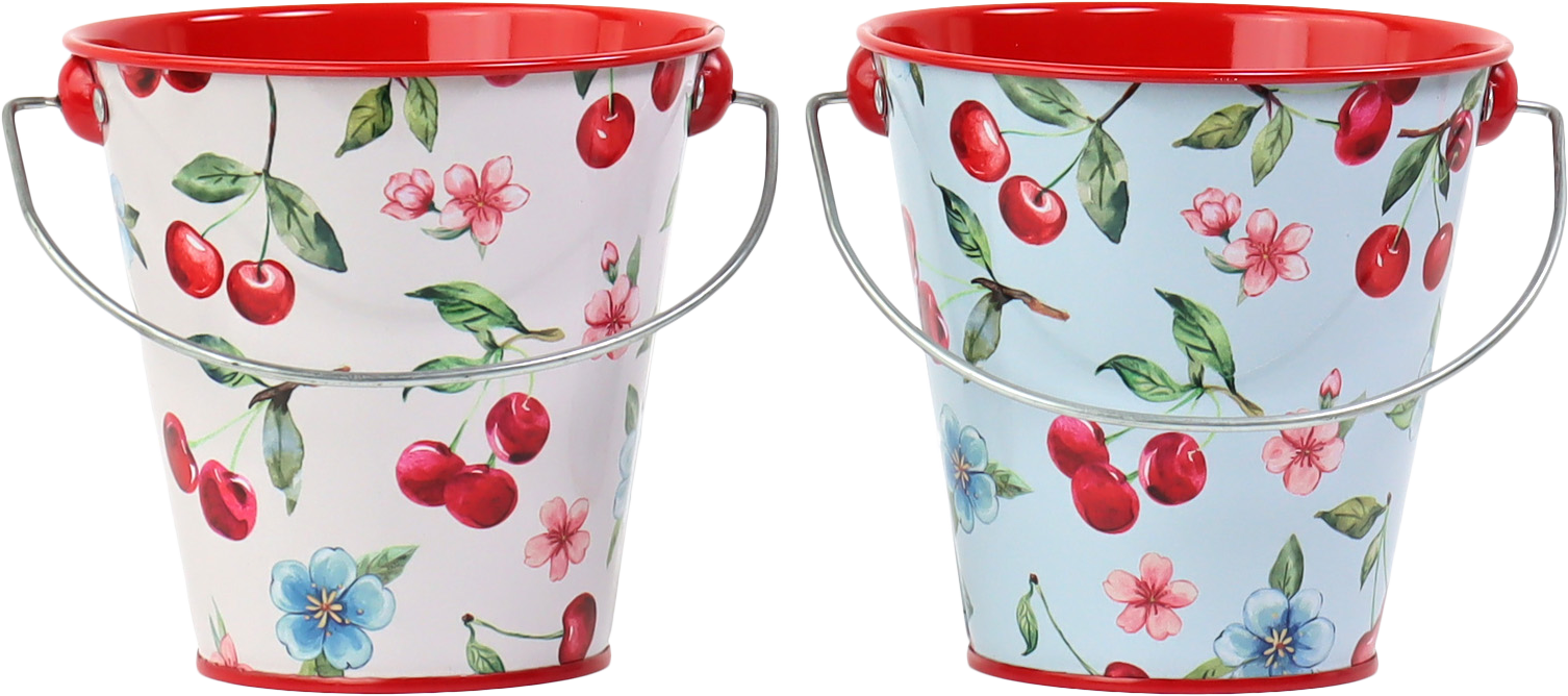 HENKELEIMER CHERRY BLOOM  S/2