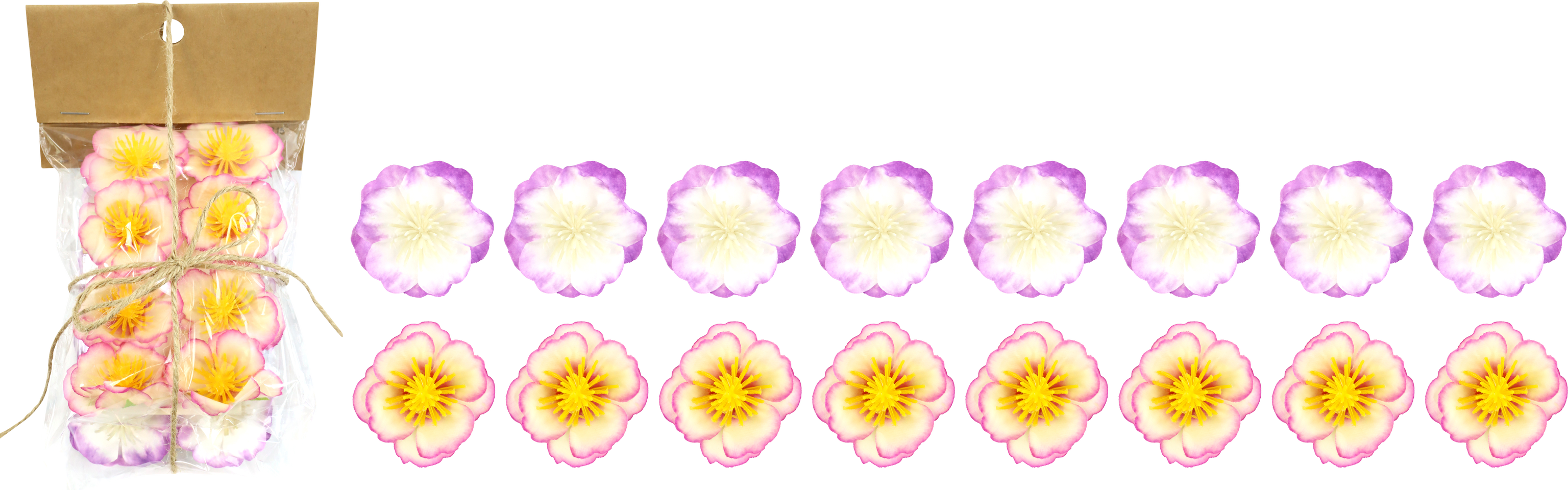 KLAMMERN ORCHIDEE 2X8 S/16