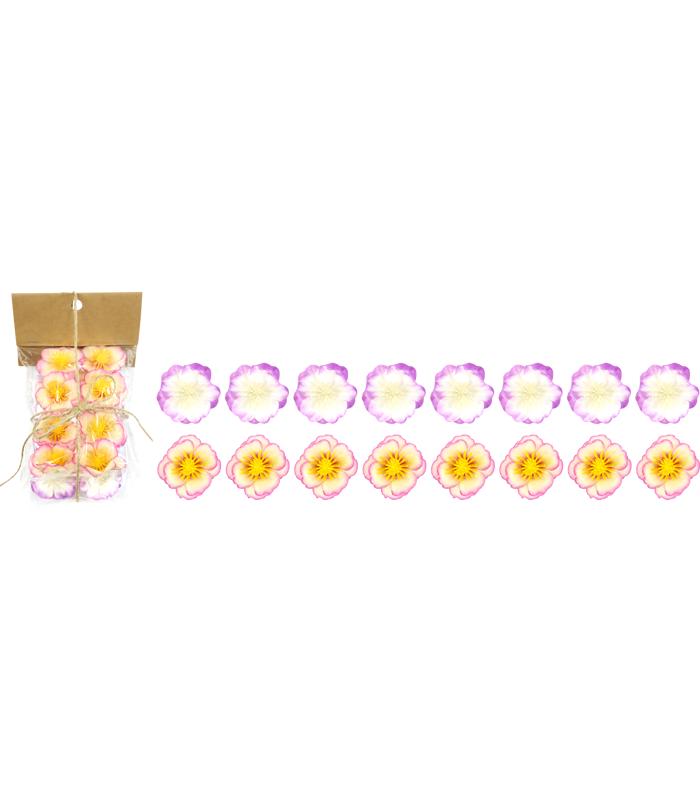 74821.png