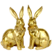 HASEN GOLDEN DUST  S/2