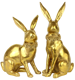 HASEN GOLDEN DUST  S/2