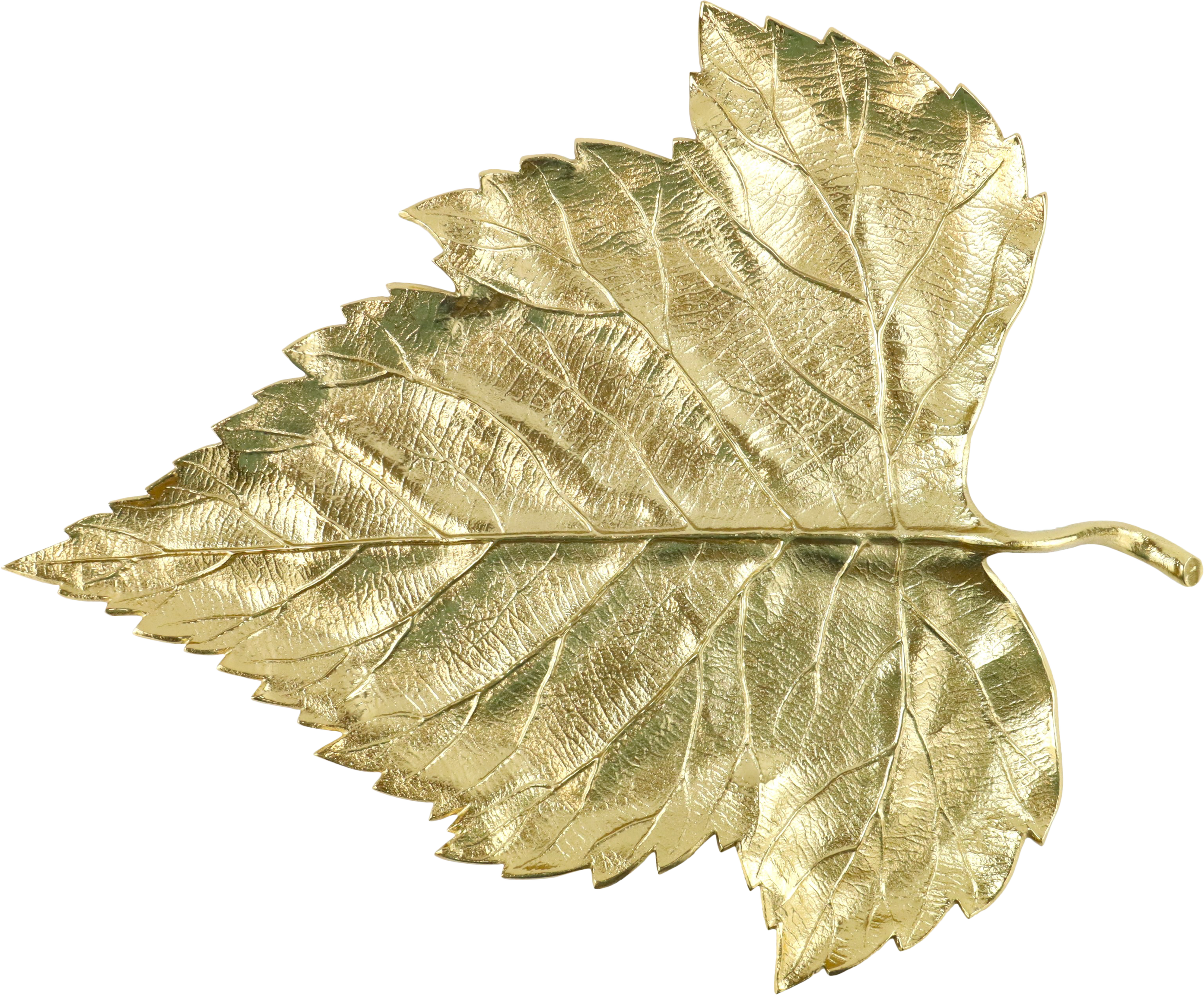 BLATTSCHALE FOGLIA