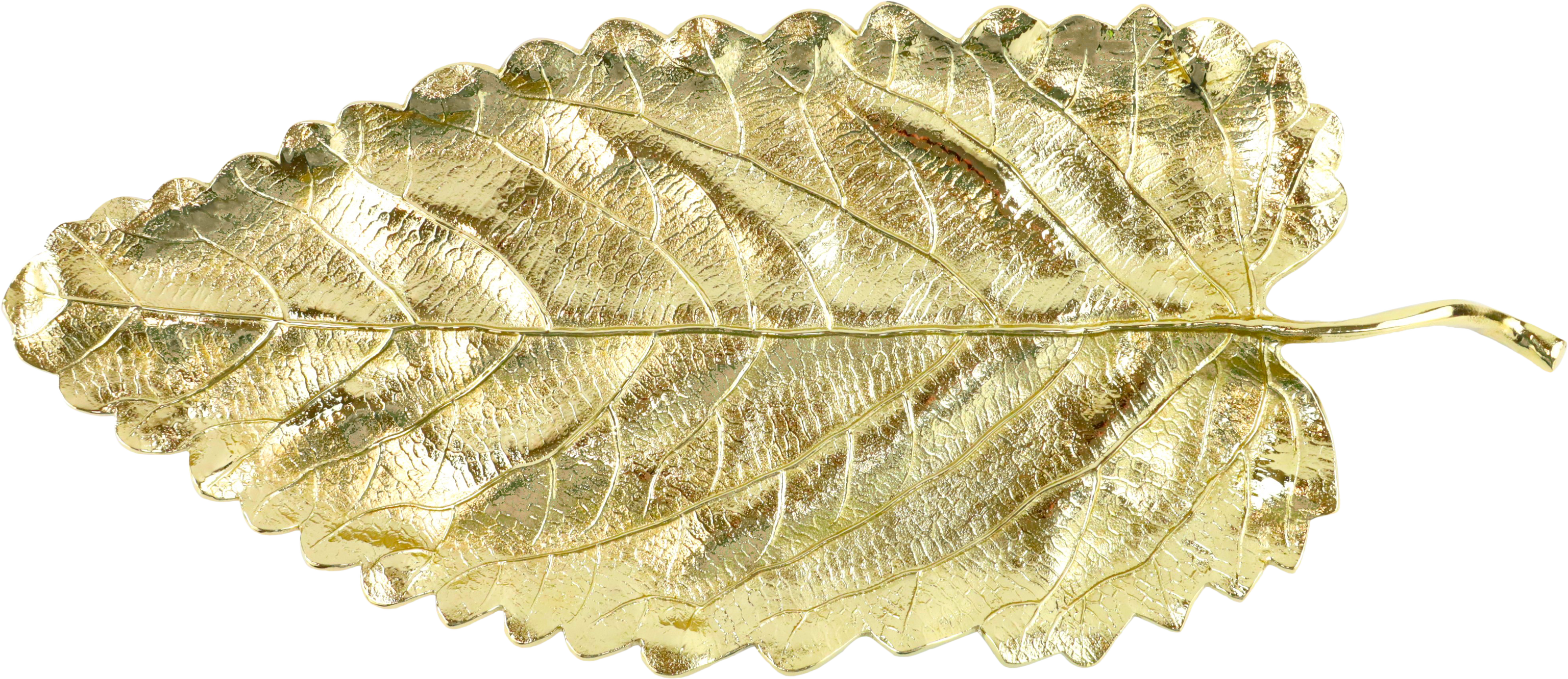 BLATTSCHALE FOGLIA