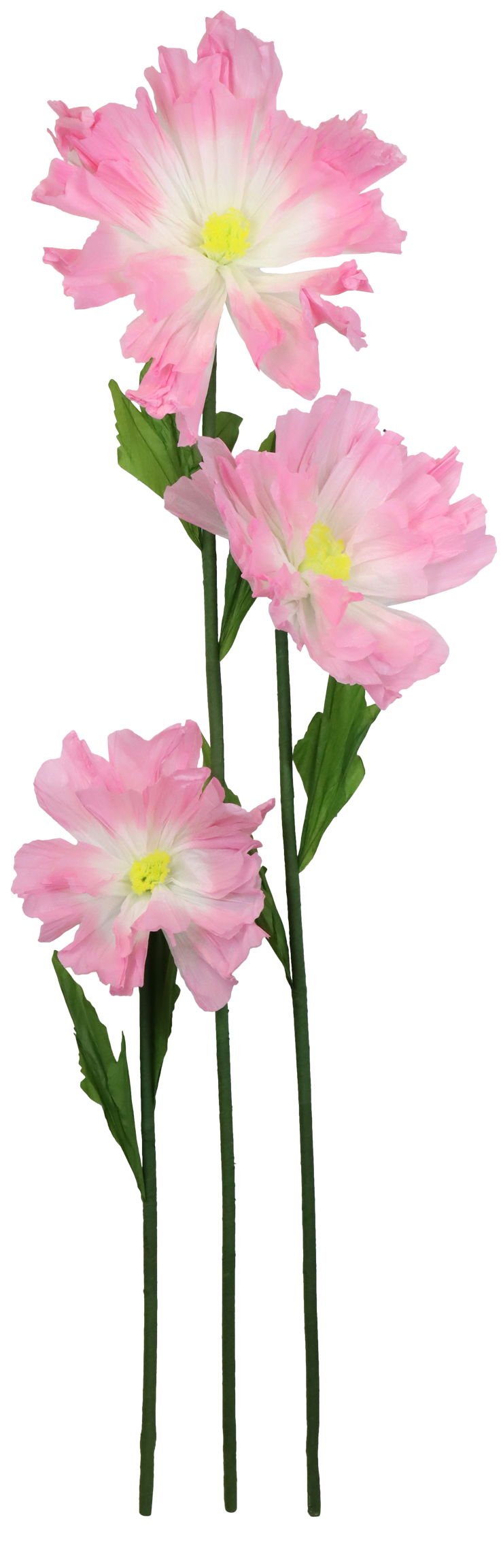 RIESENBLUME FLEUR FANTASTIQUE  S/3