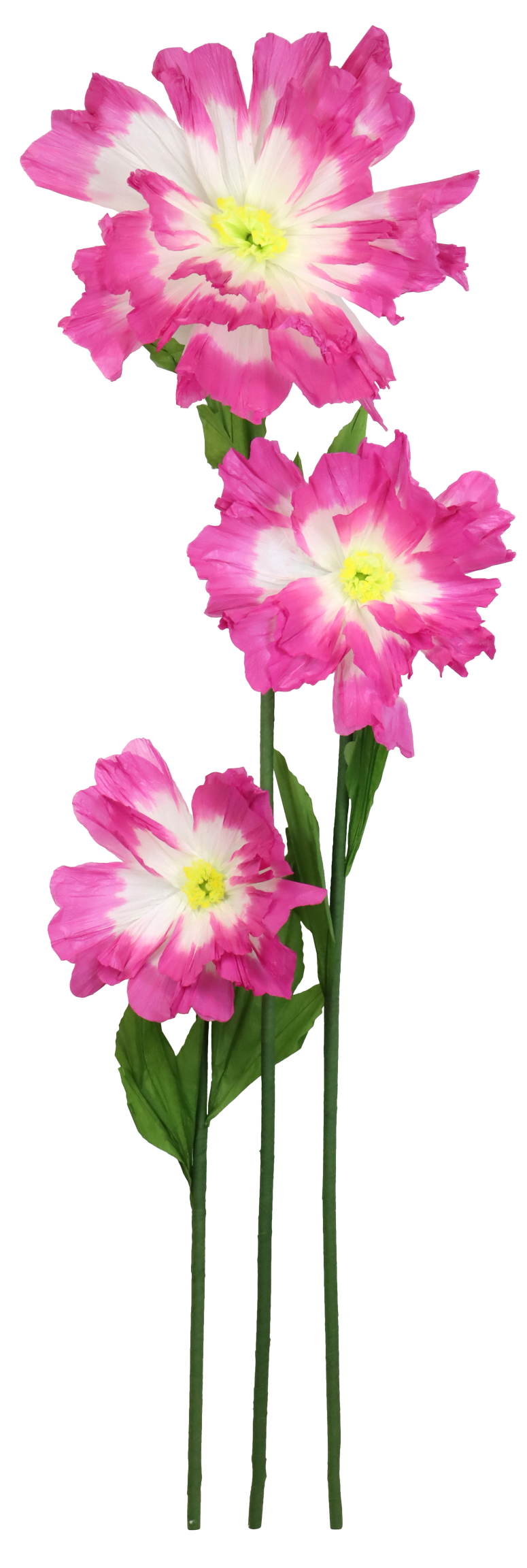 RIESENBLUME FLEUR FANTASTIQUE  S/3