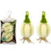 SPÜLSCHWAMM-SET GARLIC  S/2
