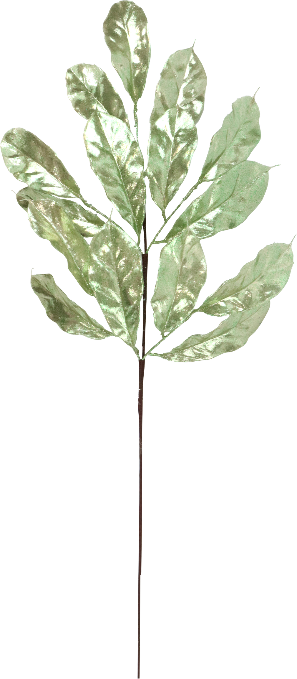 BLÜTENZWEIG BRILLIANT BLOSSOM