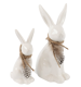 HASENPAAR FEATHERS  S/2