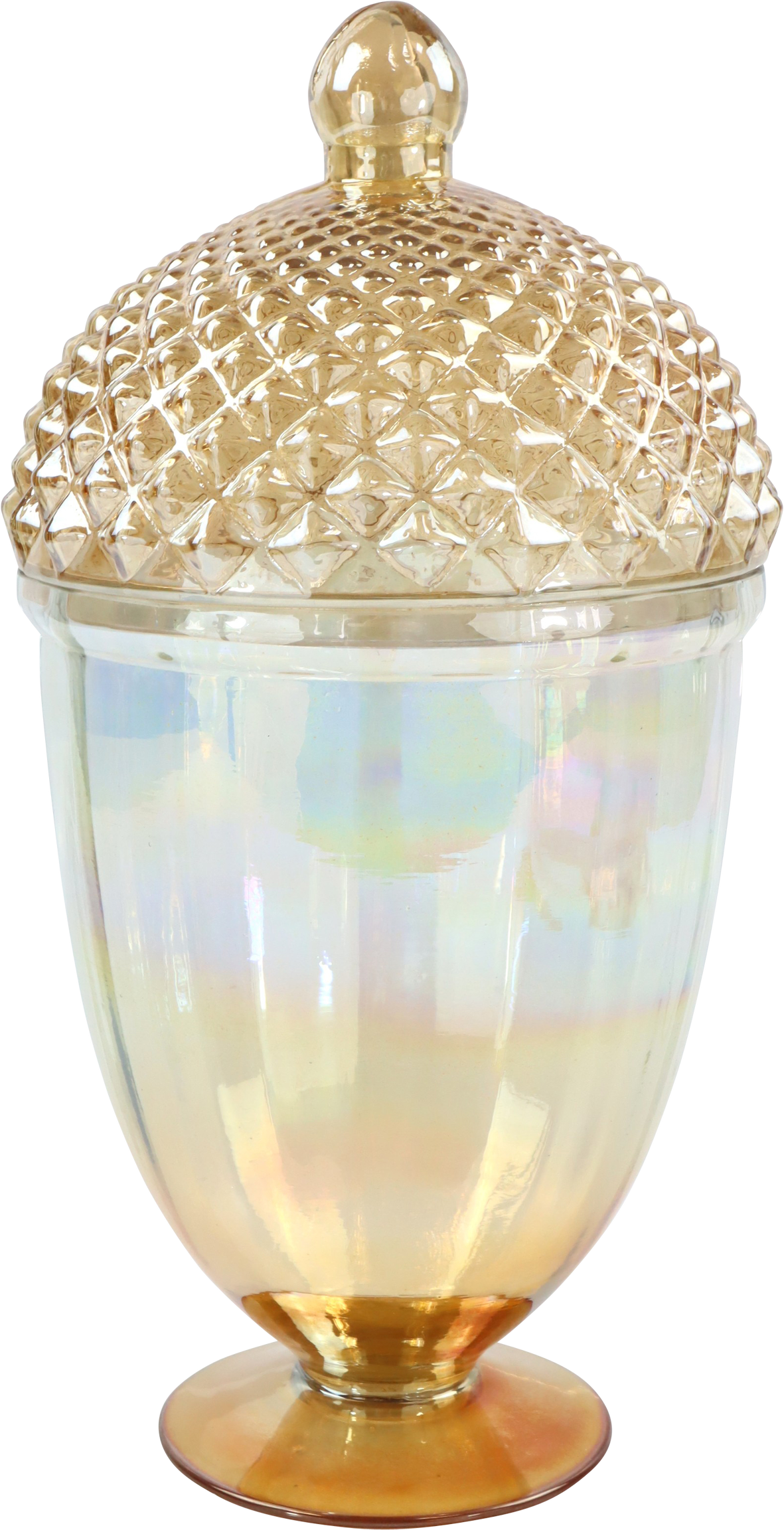 GLASDOSE ACORN ALLURE