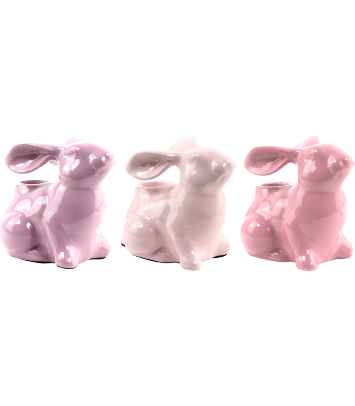 85921.png