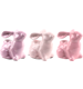 HASENLEUCHTER ROSY RABBITS  S/3