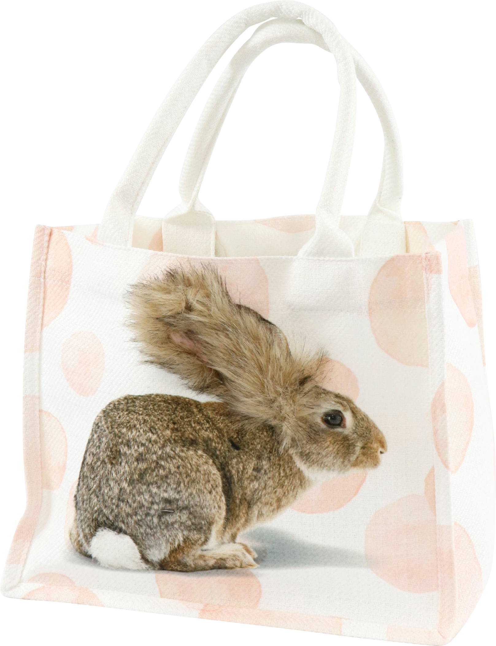 TASCHE HASE